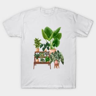 House plants collection 40.4 T-Shirt